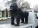 King Kong in Koeln 1